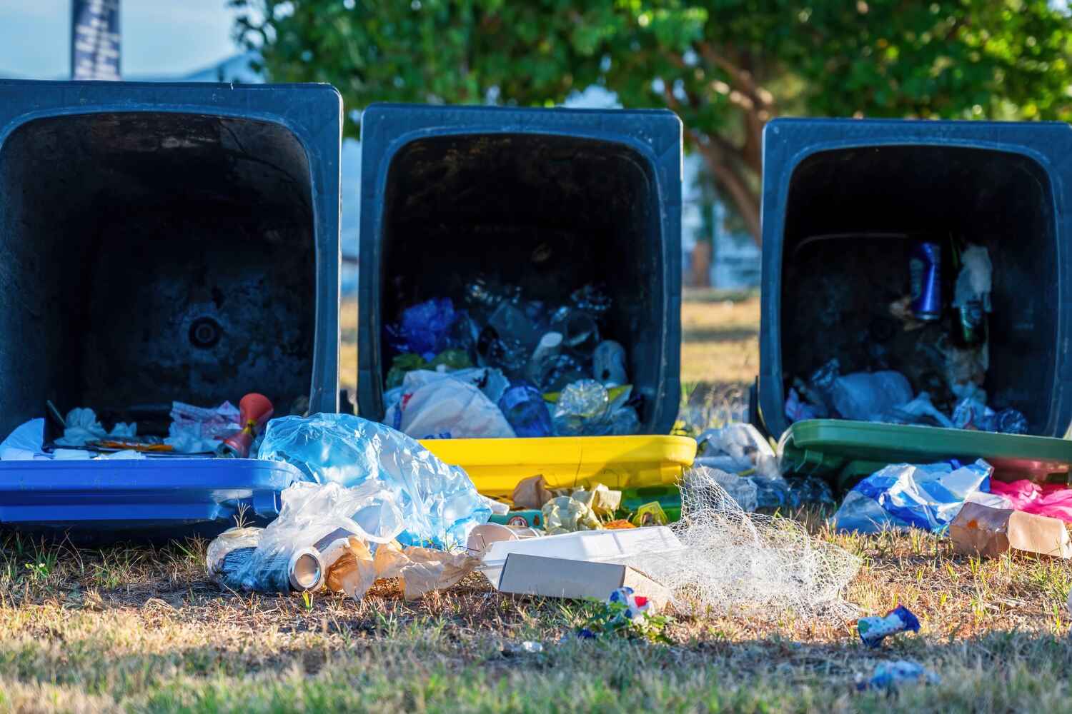 Professional Junk Removal in Manila, AR